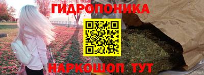 прущие грибы Кимры
