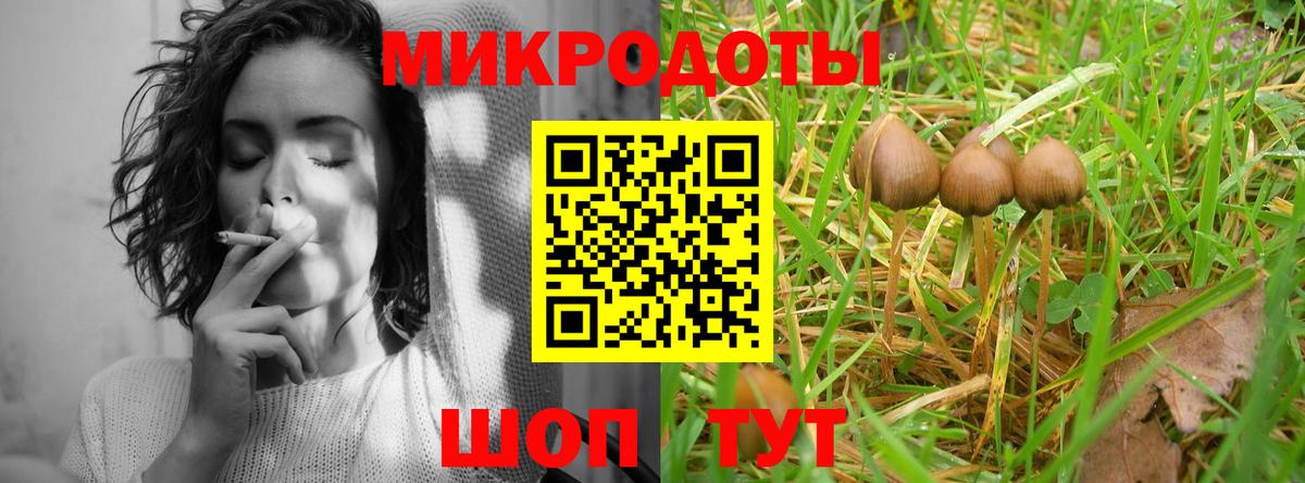 Котельники  Галлюциногенные грибы Psilocybine cubensis  Вход с VPN 