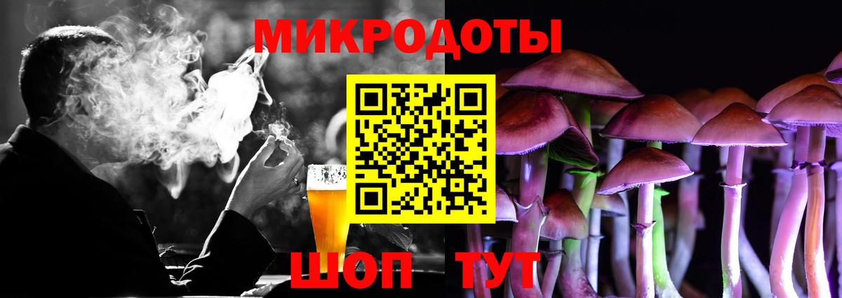 Псилоцибиновые грибы Psilocybine cubensis Котельники